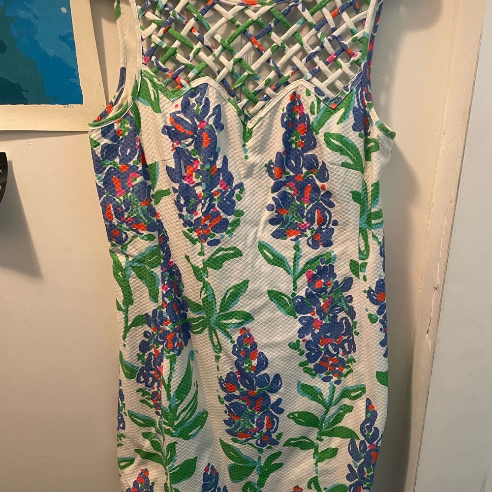 Lilly Pulitzer Floral Dress